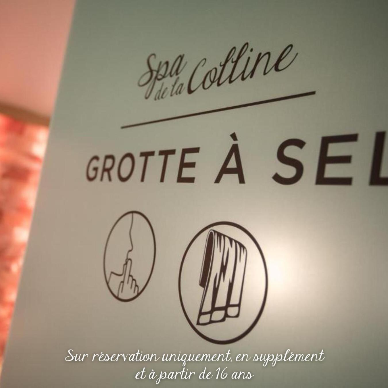 Hôtel du Bollenberg Cit'Hotel - Restaurant Côté Plaine - Spa de la Colline Westhalten Exterior foto